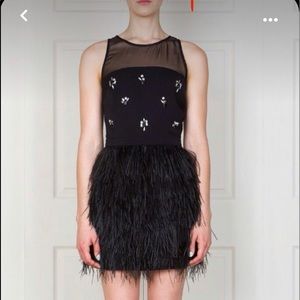 Arya K party dress with feathers. NWT